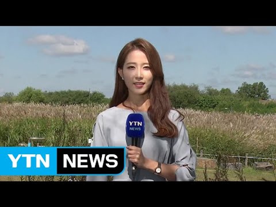 [날씨] 오늘 전국 쾌청...낮 동안 다소 더워 / YTN