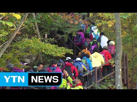 쾌청한 귀경길...가을 산행 시 주의사항은? / YTN