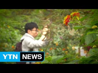 "몸과 마음 달래요"...명절 후유증 '힐링' / YTN