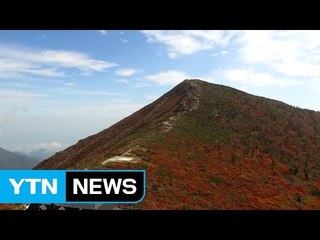 붉게 물든 내설악...추석 연휴 단풍 구경하세요 / YTN