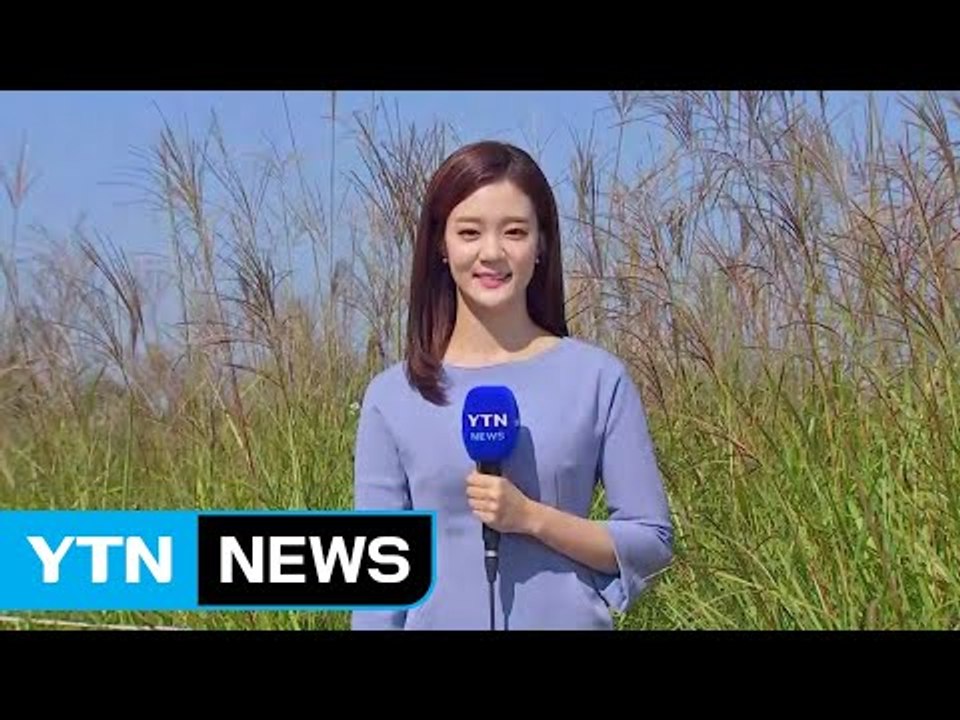 [날씨] 내륙은 쾌청, 해상 높은 물결...곳곳 풍랑특보 / YTN
