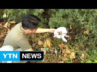 명절만 되면 쓰레기로 고통 받는 고속도로 / YTN