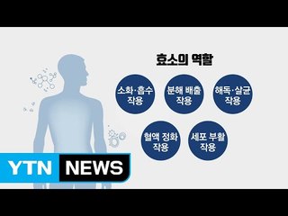 '생명의 불꽃' 효소 부족하면 소화와 대사작용에 적신호 / YTN