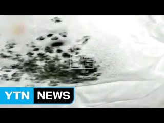 이집트군, 리비아 국경지대에서 무기밀수 차량 공습 / YTN