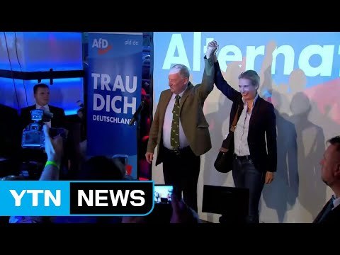 獨 의회 첫 입성 극우 정당 '벌써 내분'...공동대표 탈당 선언 / YTN