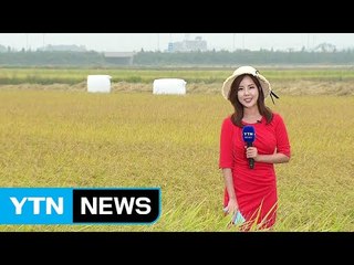 [날씨] 86년 만의 늦더위, 서울 31.4℃...내일 비에 기온 '뚝' / YTN