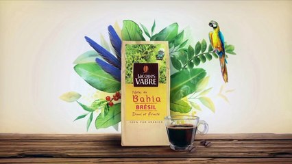 Transat Jacques Vabre 2017 - Programme Court France TV - 16 Novembre