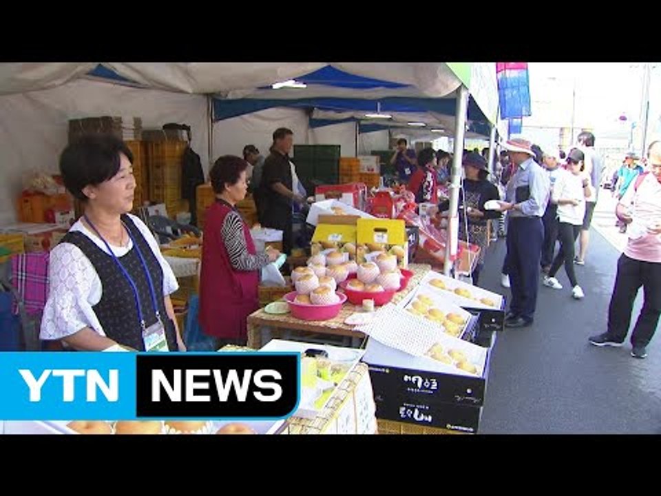 친환경 청원생명 농축산물 한마당 잔치 / YTN