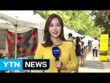 [날씨] 쾌청한 가을, 큰 일교차...주말 맑지만 황사 가능성 / YTN