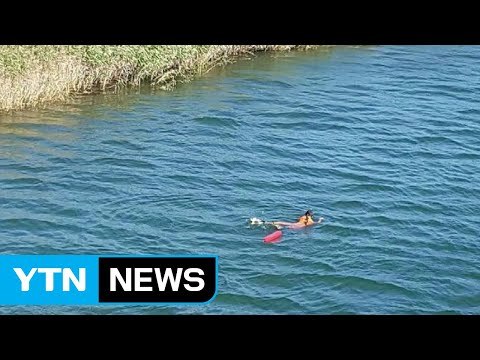 양양 낙산대교서 남녀 2명 투신...남성 1명 숨진 채 발견 / YTN