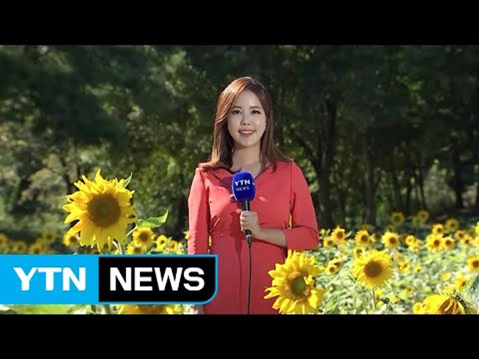[날씨] 다시 청명한 가을...내일도 맑고 공기 깨끗 / YTN