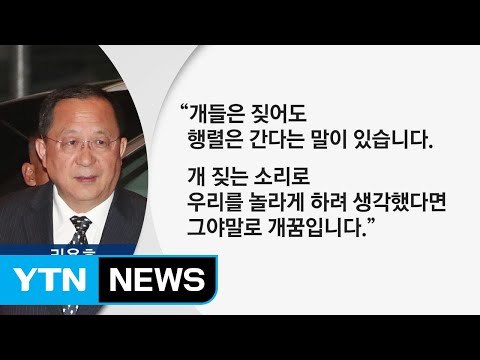 리용호 외무상, 개 짖는 소리 ...트럼프 맹비난 / YTN