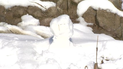 [영상] '겨울이 성큼' 설악산, 미시령 첫 눈 / YTN