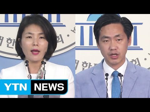 보수 2野 정부 인도적 대북 지원 부적절 / YTN