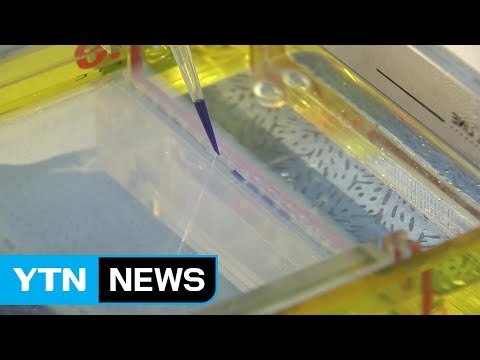 '쓰레기 단백질' 원리 규명...암 등 치료제 개발 기대 / YTN