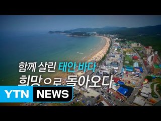 [영상] 함께 살린 태안 바다 희망으로 돌아오다 / YTN