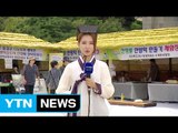 건강 힐링 여행 떠나요...산청 한방약초축제 / YTN