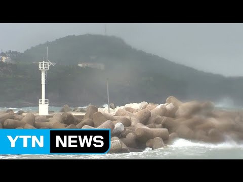 제주 전역에 태풍주의보 발효...강풍 주의 / YTN