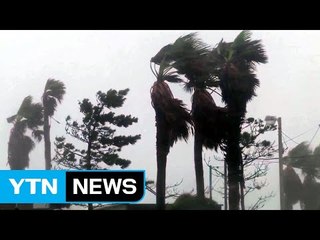 [날씨] 18호 탈림 북상...제주도·해안 거센 비바람 / YTN