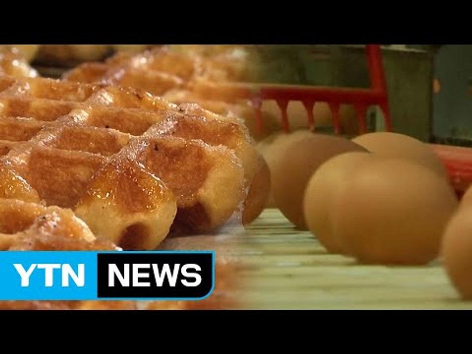 살충제 오염 유럽 달걀, 국내에 불똥...벨기에 와플 판매중단 / YTN