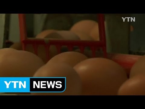 '살충제 달걀 유통' 17개국으로 확산...홍콩도 유통 / YTN