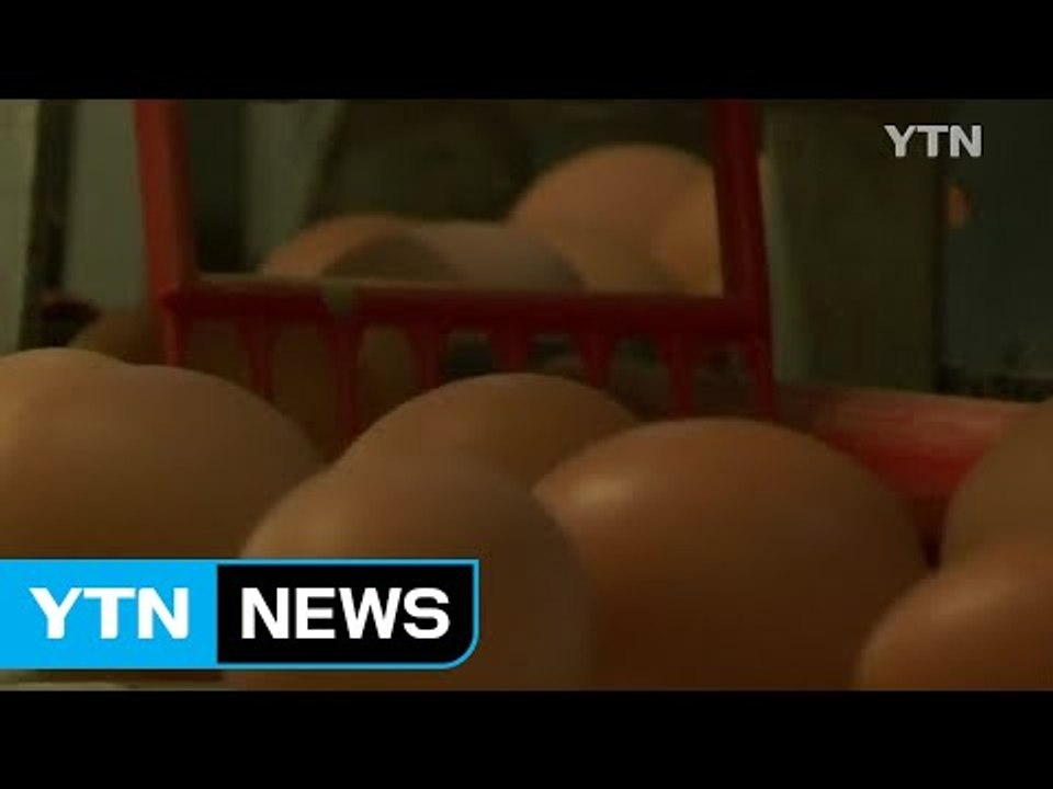 '살충제 달걀 유통' 17개국으로 확산...홍콩도 유통 / YTN