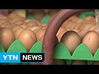 재검사에서 2건 추가 검출...신뢰성 '흔들' / YTN