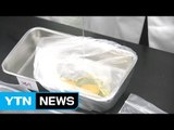 '살충제 달걀' 유해평가 이르면 내일 발표 / YTN