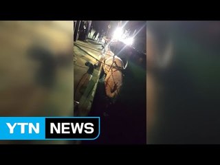 울산서 7m 길이 밍크고래 통발에 걸려 죽어 / YTN