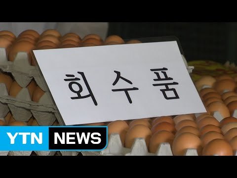 '살충제 달걀' 보완검사 내일 마무리...아직 추가 검출 없어 / YTN