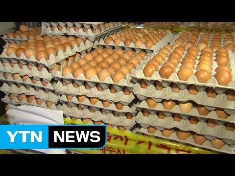 식약처, 내일 '살충제 달걀' 인체 위해성 평가결과 발표 / YTN