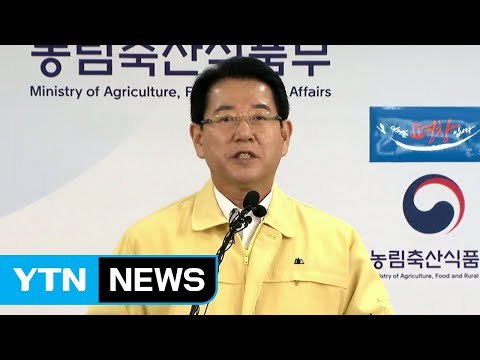 ’살충제 달걀’ 추가 확인...정부 대책 발표 (브리핑 전문) / YTN