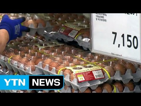 대형마트·편의점, 하루 만에 달걀 판매 재개 / YTN