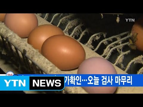 [YTN 실시간뉴스] '살충제 달걀' 추가확인...오늘 검사 마무리 / YTN