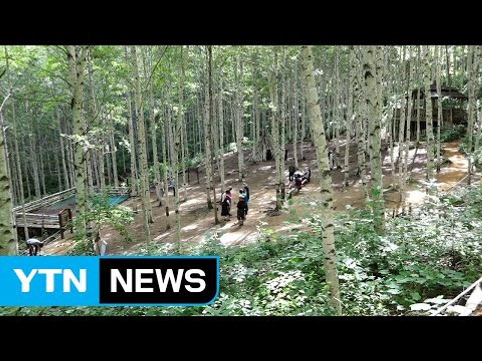 산과 바다에 막바지 피서객 북적 / YTN