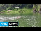 강에서 물놀이하던 피서객 3명 숨져 / YTN