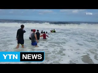 [영상] 거센 파도 속 생명 구한 '인간 띠' / YTN