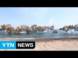 軍 "한미훈련 규모 축소 검토한 적 없어" / YTN