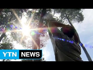 절정에 이른 무더위...거리 열기 식히는 '인공 안개' / YTN