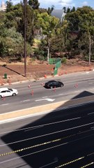 Kangaroo Weaves Through Traffic