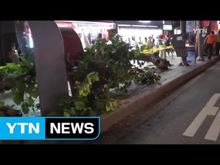 가로수 쓰러져 행인 2명 다쳐 / YTN