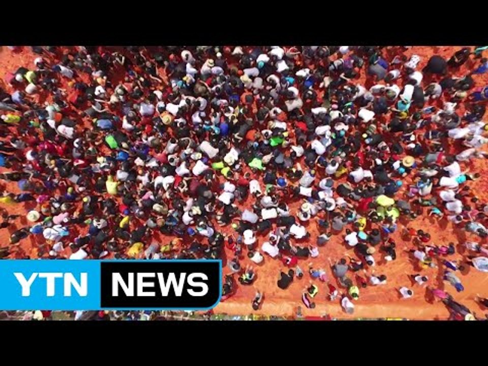 붉은 토마토 속으로...열정의 축제 / YTN
