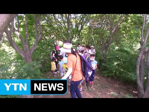 '덥다 더워!'...숲과 동굴 이색 피서지 '인기' / YTN