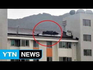 대전서 강풍에 아파트 지붕 뜯기고 가로수 쓰러져 / YTN