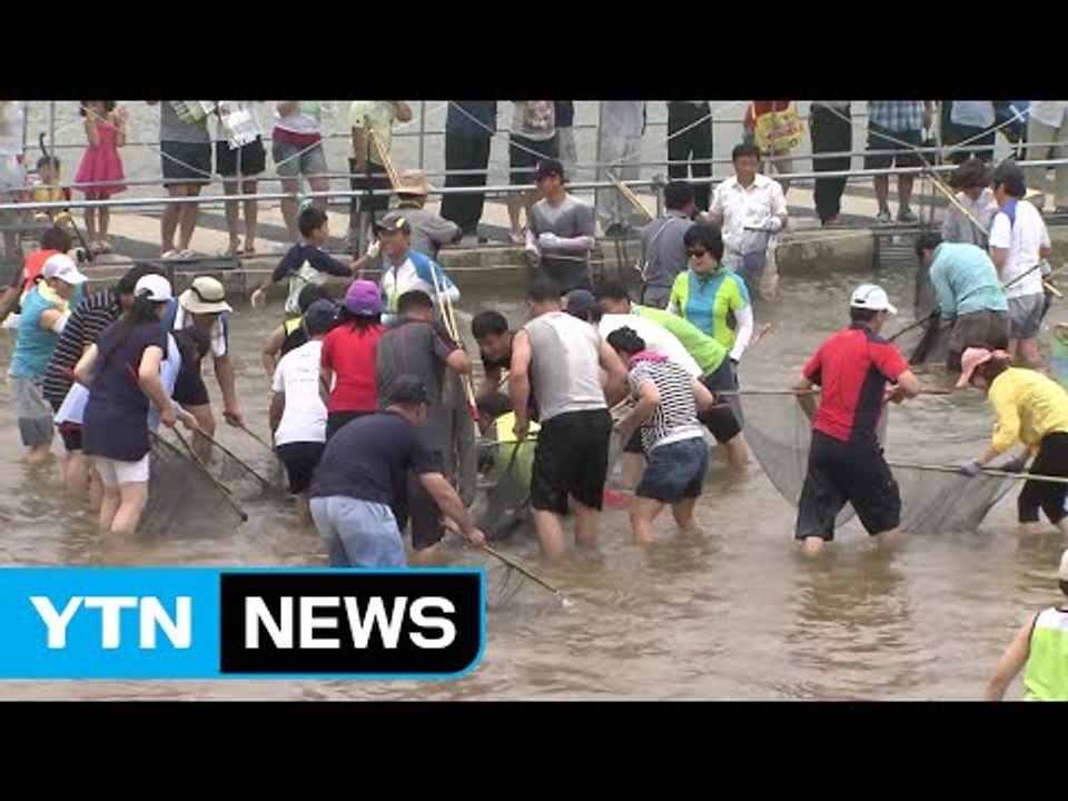 여긴 어때요? 휴가철 '지역 축제' / YTN