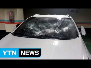 [단독] "당장 차 빼"...이웃 차 골프채로 훼손한 20대 입건 / YTN