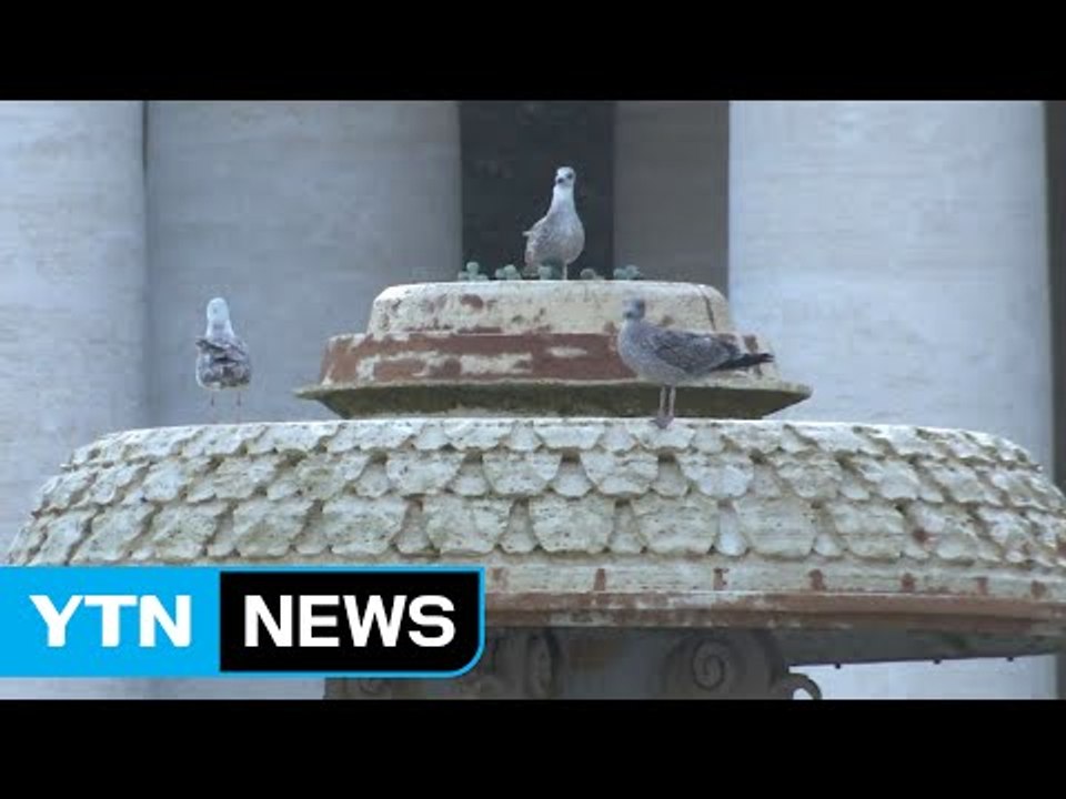 극심한 가뭄에 교황 "물 아껴라" 교황청 분수대 가동 중단 / YTN