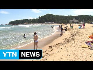 서울 장애인 위한 해수욕장 양양에 개장 / YTN