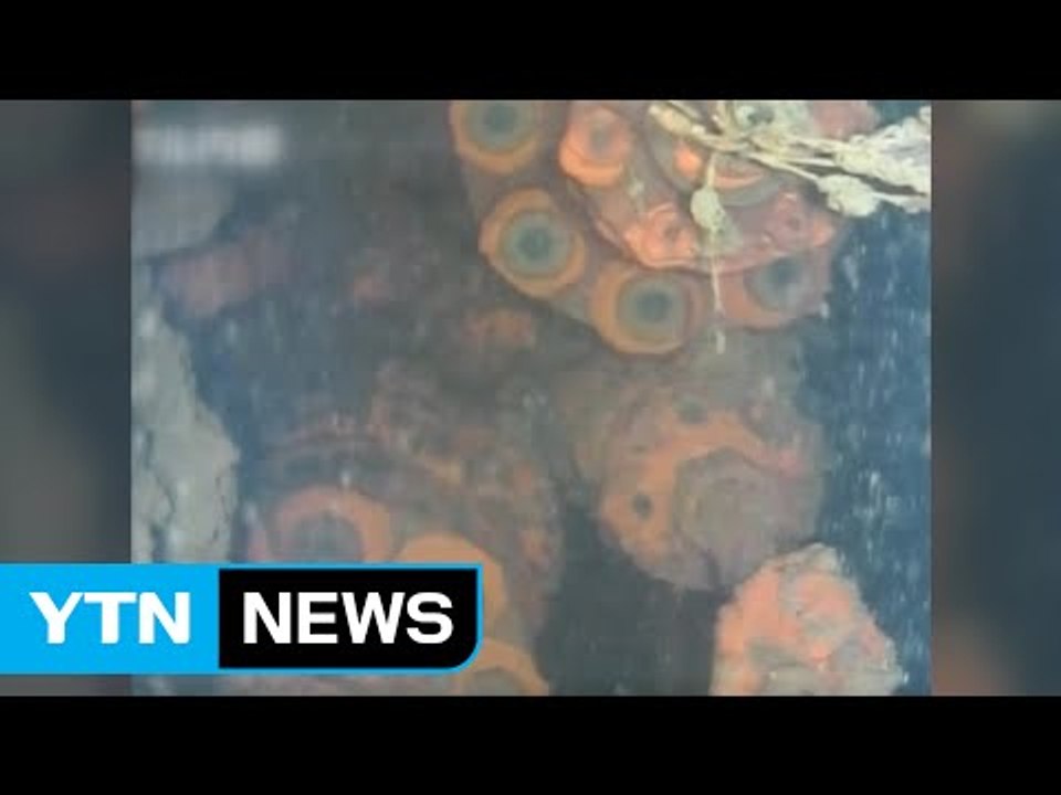 후쿠시마 원전사고 녹아내린 핵연료 6년 만에 촬영 / YTN