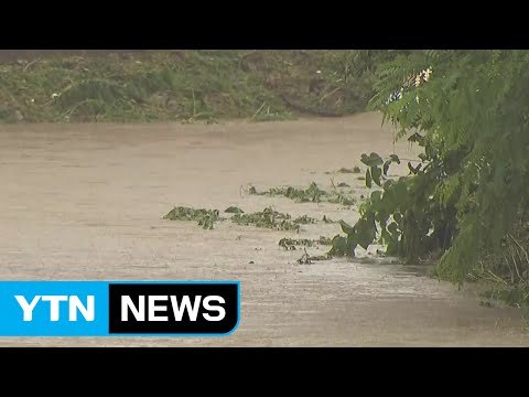 [날씨] 서울·경기 북부 호우경보...시간당 70mm / YTN
